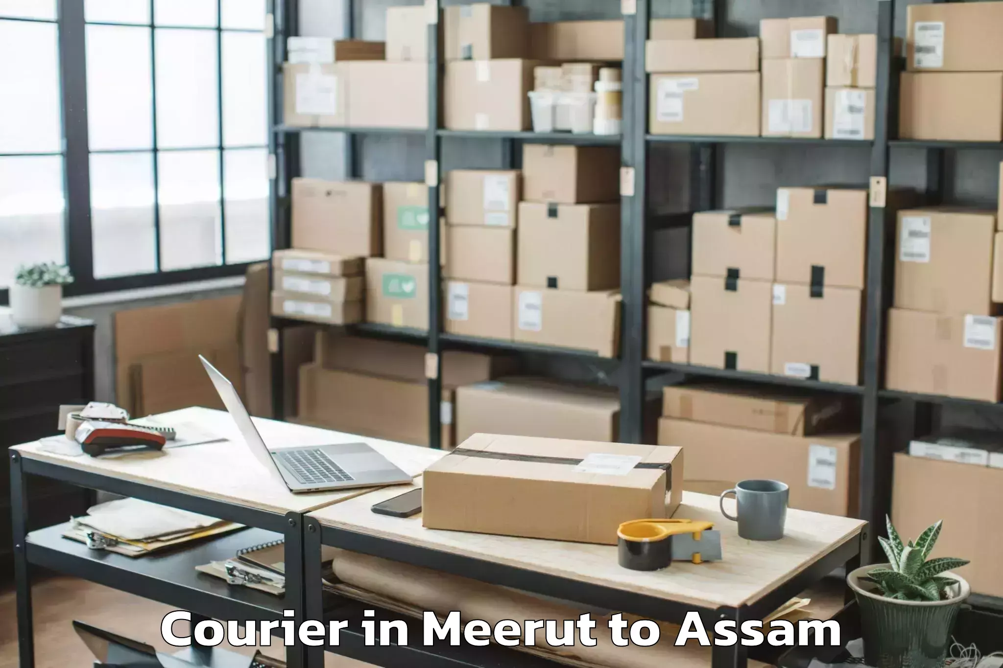 Trusted Meerut to Baganpara Courier